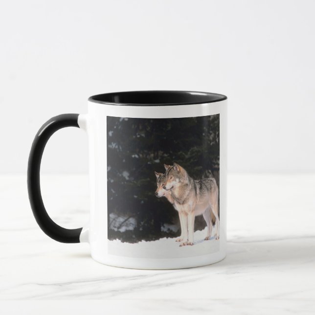 Taza Lobos grises (Izquierda)