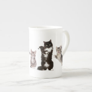 Taza loca del gato