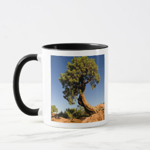 Taza Lonesome Cedar, Parque Estatal Deadhorse Point,