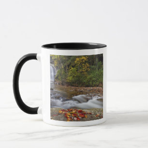 Taza Looking Glass Falls en el Pisgah National