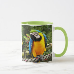 Taza Loro de Macao