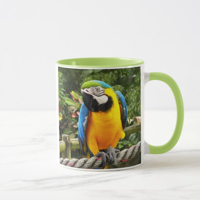 Taza Loro de Macao (Derecha)
