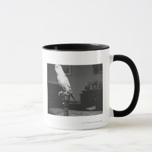 Taza Loro que se sienta en la palmatoria B&W