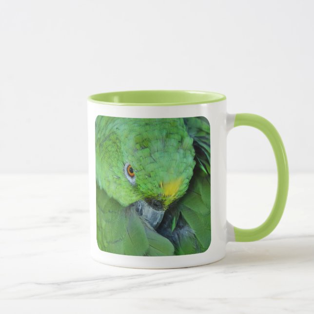 Taza Loro verde del Amazonas (Derecha)