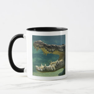 Taza Los cocodrilos abren la boca