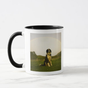 Taza Los E.E.U.U., Colorado, nuevo castillo