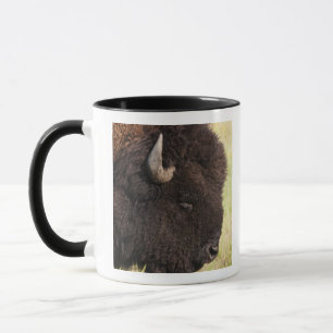 Taza Los E.E.U.U., Dakota del Sur, bisonte americano
