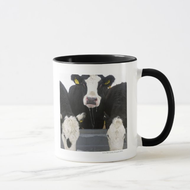 Taza Los E.E.U.U., Estado de Nuevo York, acobardan la (Derecha)