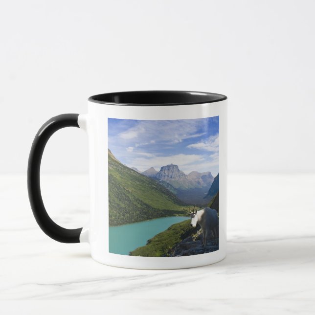 Taza Los E.E.U.U., Montana, Parque Nacional Glacier, (Izquierda)