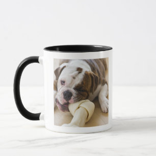 Taza Los E.E.U.U., New Jersey, Jersey City, perrito