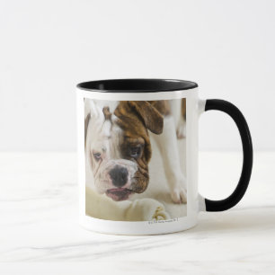 Taza Los E.E.U.U., New Jersey, Jersey City, perrito
