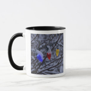 Taza Los E.E.U.U., Nueva Inglaterra, Massachusetts,