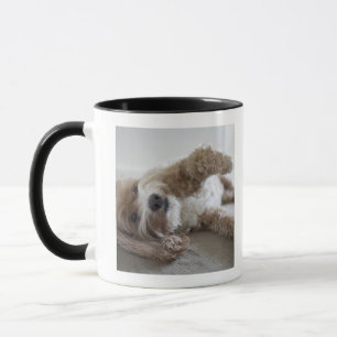 Taza Los E.E.U.U., Nueva York, New York City, Brooklyn,