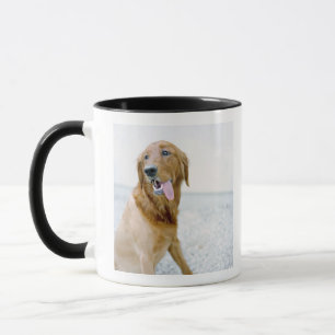 Taza Los E.E.U.U., Utah, Salt Lake City, mitad