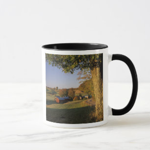 Taza Los E.E.U.U., Vermont, Woodstock del sur, granja