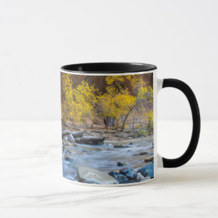 Taza Los estrechos del río Virgen en otoño