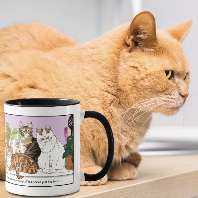 Taza Los Gatos Están al Cargo (Subido por el creador)