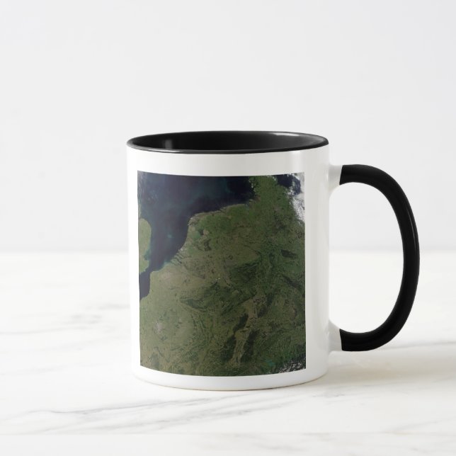 Taza Los países bajos (Derecha)