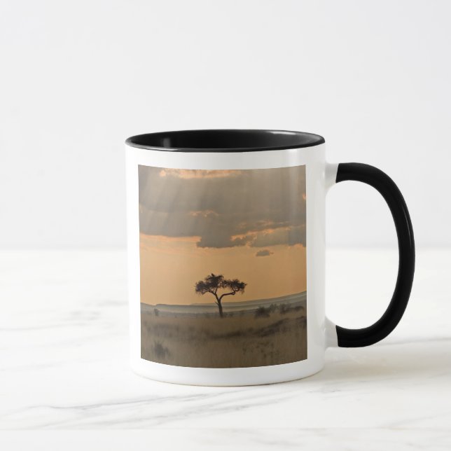 Taza Los rayos del sol atravesando la tarde (Derecha)