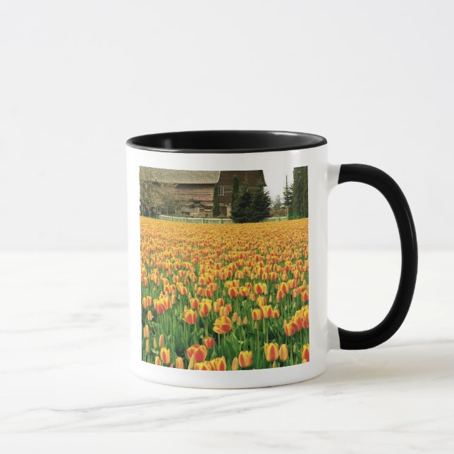Taza Los tulipanes de primavera florecen frente al viej (Derecha)