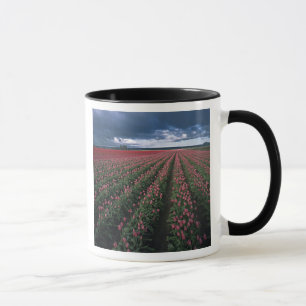 Taza Los tulipanes rosados y rojos brillan bajo oscurid
