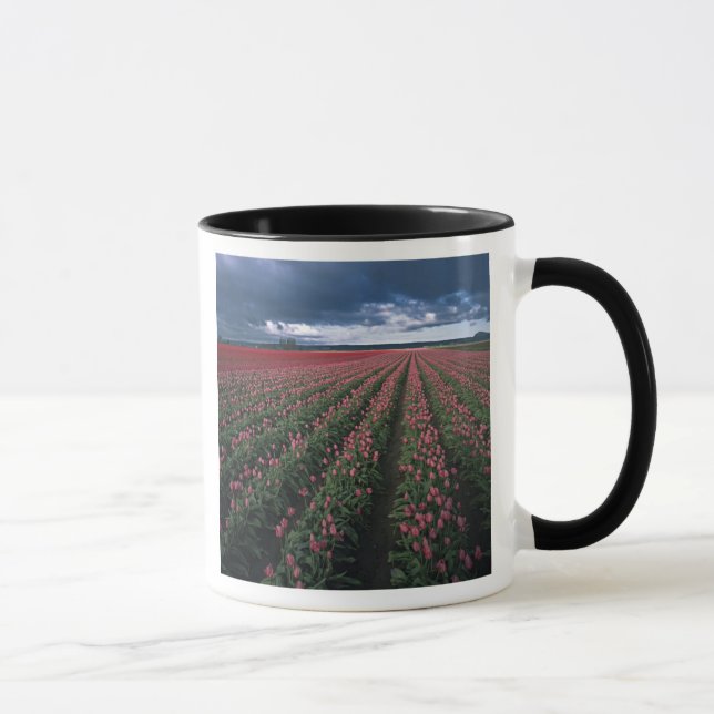 Taza Los tulipanes rosados y rojos brillan bajo oscurid (Derecha)
