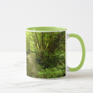 Taza Lost Man Creek I en el Parque Nacional Redwood