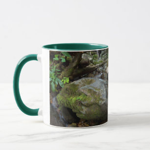 Taza Lower Dark Hollow Falls, Shenandoah