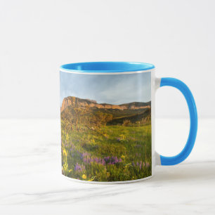 Taza Luces del amanecer Blackleaf Canyon