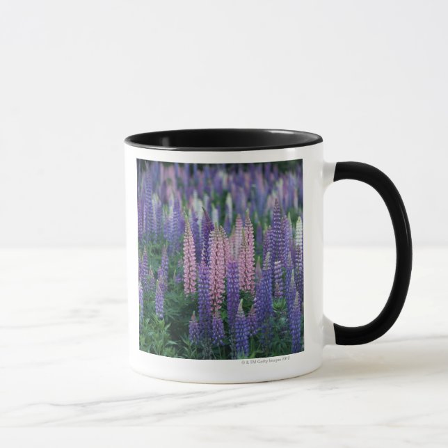 Taza Lupine (Derecha)