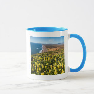 Taza Lupino Amarillo Sobre la Playa Point Reyes En Poin