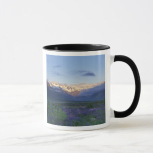 Taza Lupino y la divisoria principal, Arthur's Pass, Su