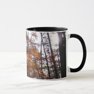 Taza Luz solar a través de un árbol otoñal en Greenbelt