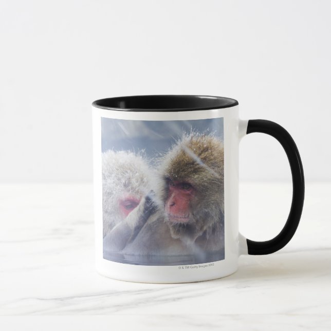 Taza Macaques japoneses (fuscata del Macaca) que (Derecha)