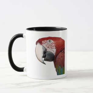 Taza Macaw Rojo-y-verde - chloropterus del Ara