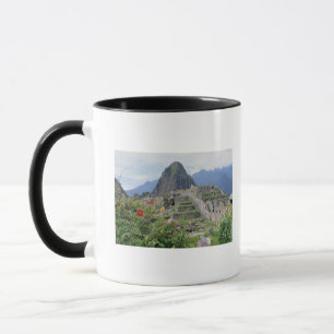 Taza Machu Picchu, Perú