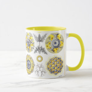 Taza Macros marinos criaturas amoeba