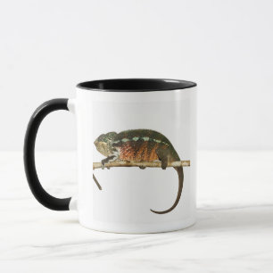 Taza Madagascar 2