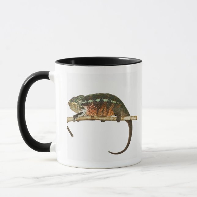 Taza Madagascar 2 (Izquierda)