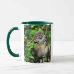 Taza Madagascar, Andasibe, Isla de los Lémures, Madre