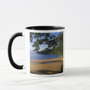 Taza Madagascar, Reserva Especial Nosy Mangabe, en
