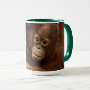 Taza Madre y bebé orangután en el zoológico