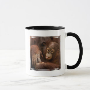 Taza Madre y cría de orangután en el zoológico