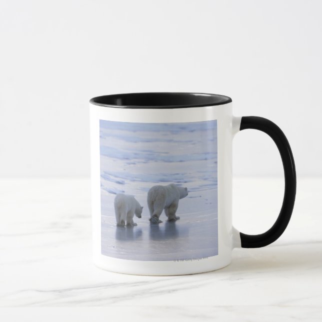 Taza Madre y Cub del oso polar (Derecha)