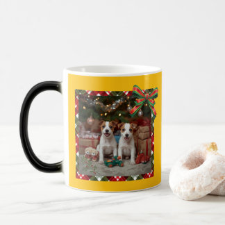 TAZA MÁGICA かわいいジャックラッセルテリアの子犬たちとクリスマス♡
