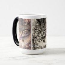 1 Estado de ánimo + 3 Vibraciones = Purrfección To