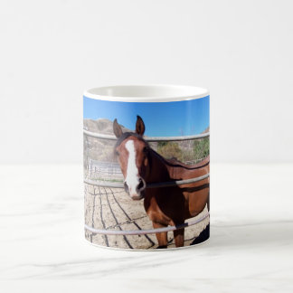 Taza Mágica abu