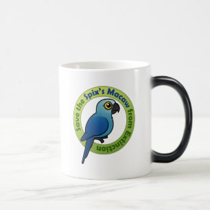 Taza Mágica Ahorre el Macaw del Spix de la extinción