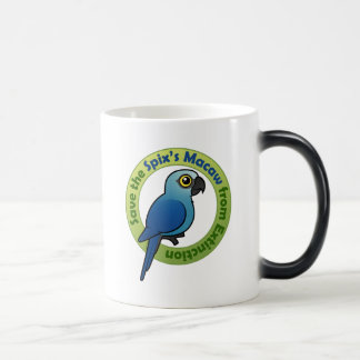 Taza Mágica Ahorre el Macaw del Spix de la extinción