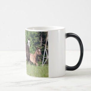 Taza Mágica Algunos caballos en hierba verde